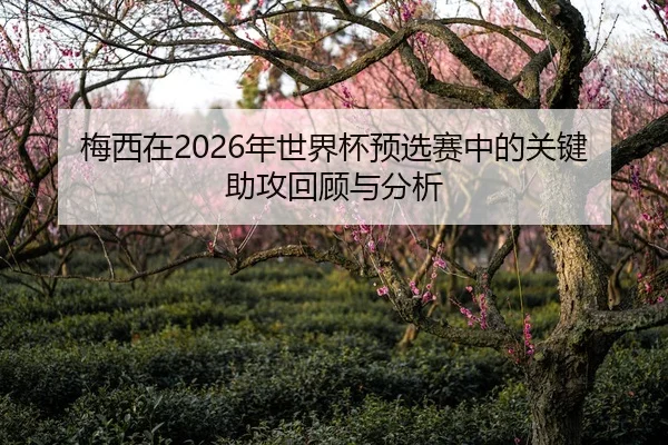 梅西在2026年世界杯预选赛中的关键助攻回顾与分析