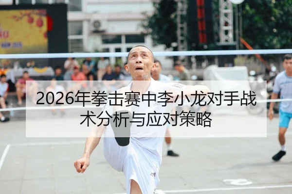 2026年拳击赛中李小龙对手战术分析与应对策略